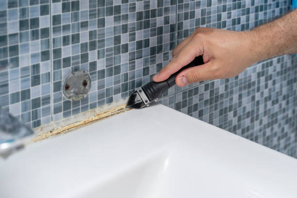 Best Black Mold Remediation in Greenville, NY