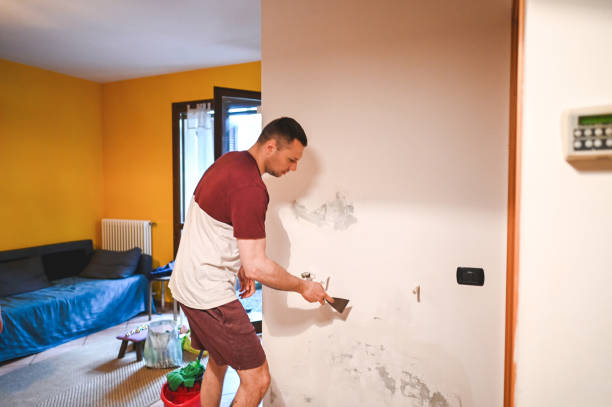 Best Mold Testing and Inspection Services in Greenville, NY